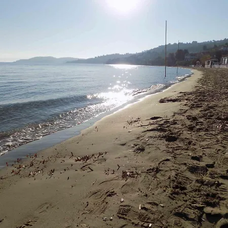 Rhodonhouseskiathos Σκιάθος Πόλη